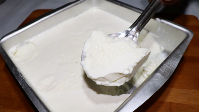 curd recipe